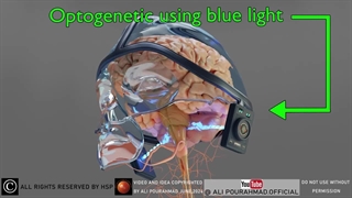 اختراعات علمی بی نظیر علی پوراحمد - مشهورترین نخبگان و نوابغ ایرانی - دانستنی های علمی