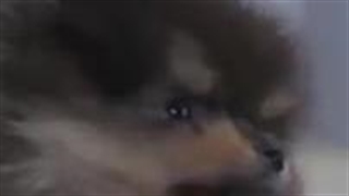 دلمون برات تنگ میشه کوچولوی آرمی :)