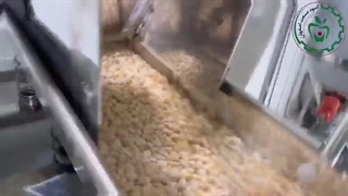 تولید آرد ذرت با آسیاب دو مرحله ای اسوه 09138900047