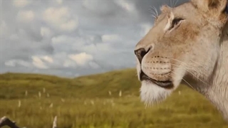 Mufasa: The Lion King 2024 موفاسا: شیر شاه دوبله پارسی