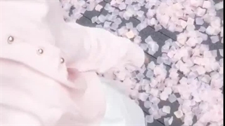 وایب ژاپن و فصل بهار