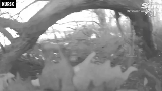 مقاومت نیروهای ویژه اوکراین در برابر سربازان کره شمالی