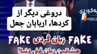 دروغ زبان کردی هشتمین زبان غنی دنیا _ ادعای جعلی هشتمین زبان دنیا بودن زبان کردی _ جعلیات کردی _ چرندیات کردی _ توهمات کردی