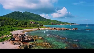 تصنیف انتظار