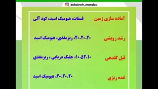 برنامه کودددهی و تغذیه سیب زمینی