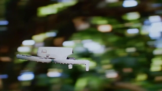 هلی شات فلیپ