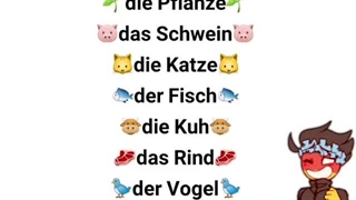 لغات آلمانی