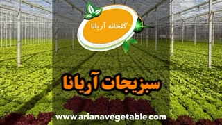 سبزیجات تازه آریانا: طراوت در هر لقمه