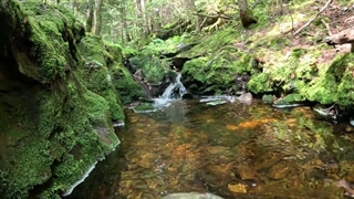 صداهای صلح آمیز کریک در کوه های ورمونت: صداهای آرامش بخش طبیعت: 4K HD