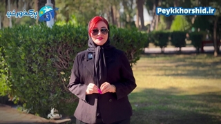 راهنمای سفر به توکیو