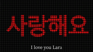 3> I Love You Lara