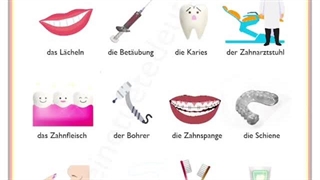 480 دندان پزشکی