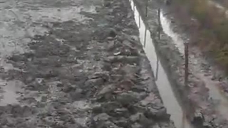 مزرعه پرورش زالوی طبیعی (برکه ای گِل دار) هندوستان | صنعت زالو ایران