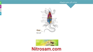 فروشگاه حشره کش مارمولک در تهران - سم تضمینی مارمولک خانگی