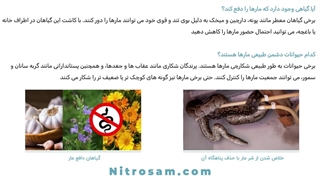 فروشگاه سم دافع مار در تهران - سم تضمینی مارکش