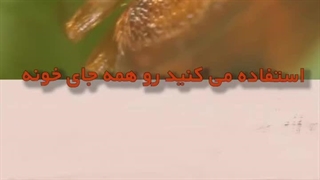 تأثیر امواج فراصوت بر سیستم عصبی انسان