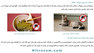 فروشگاه حشره کش رتیل در تهران - سم تضمینی رتیل