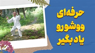 آموزش ووشو برای همه! از مبتدی تا استاد در یک پکیج کامل!