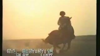 اسب ترکمن کارگردان مسعودکیمیایی سال 1354