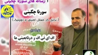 پذیرش fatf،دوتابعیتی ها ( استاد سورنا چگینی)