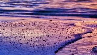 ملک یاب شمال