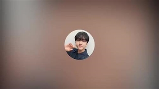 این شاممه ها هر روز لایون! ترجمه کپ