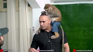 مارسل و سامی