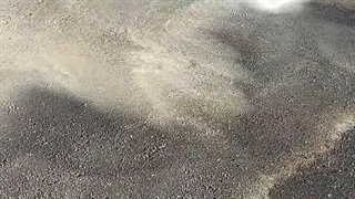 شستن سنگ کف خانه