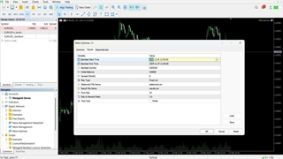 تنظیمات و راه اندازی اکسپرت | متاگلد
