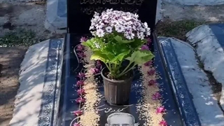 پنجشنبه آخر سال ۱۴۰۳ در کنار مادر و پدرم