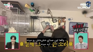 تماشای ویدیو اولین رونمایی از خونه شیومین با زیرنویس فارسی چسبیده