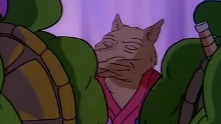 Teenage Mutant Ninja Turtles 1988 S02E12 The Catwoman from Channel Six