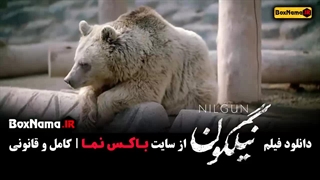 دانلود نیگلون فیلم ایرانی