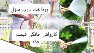 فروش کارواش خانگی