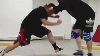 Shihan Saeed Mohammadi