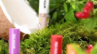 Yasgallery.net بالم لب ویت یو