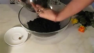 سرچ کردن کوکون ها در بستر روس