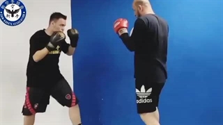 Shihan Saeed Mohammadi