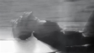 JAY DESIRE UNLEASHED: VAMPIRE VER.