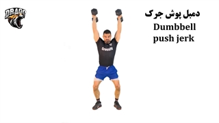 آموزش کامل حرکت دمبل پوش جرک | تکنیک، نکات مربیگری و عضلات درگیر