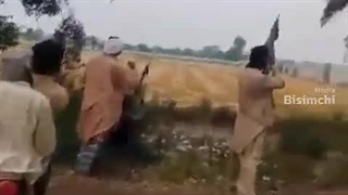 شکار پماد با اسلحه