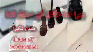 صندل شکیرا