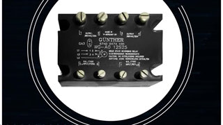 رله چپ گرد راست گرد سه فاز گانتر Gunther