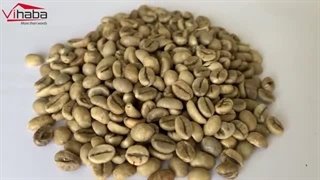 لوازم قهوه باریستا