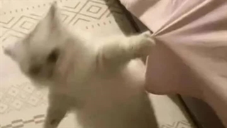 گرمهههههههههههه