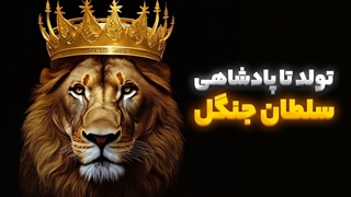 مسیر تولد تا پادشاهی سلطان جنگل 