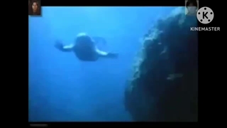 REAL MERMAID FOUND RELOADED Low Pitch