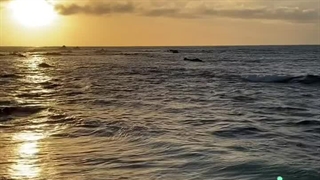 ادامه پارت بیست و پنجم رمان THE EDICTION (اعتیاد)