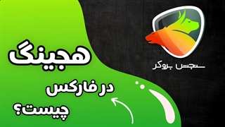 هجینگ در فارکس چیست؟ آموزش استفاده از هجینگ | سنجش بروکر