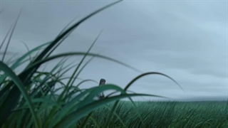 انیمه افسانه شاهزاده چانگ-گه (The Legend of Pricess Chang-Ge )Chang Ge Xing قسمت 12